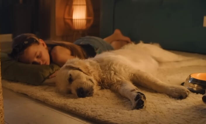 
dog sleeping in bed ruining relationship