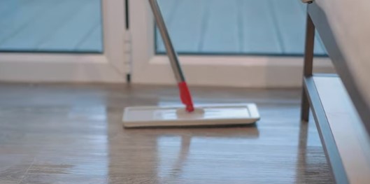  remove the dog pee smell from vinyl flooring