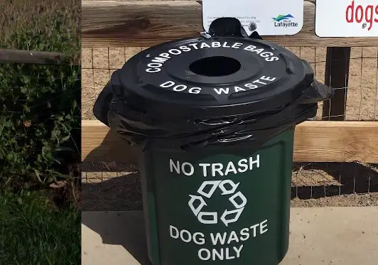 can you put dog poop in yard waste bin 
