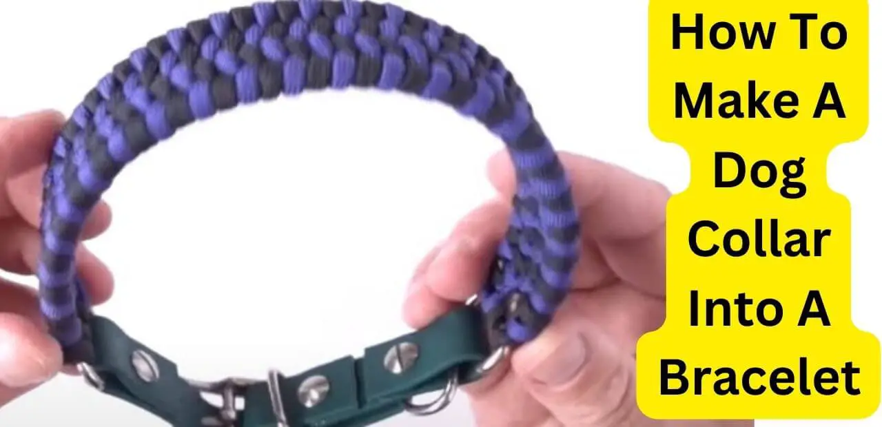 How To Make A Dog Collar Into A Bracelet