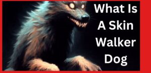What Is A Skin Walker Dog