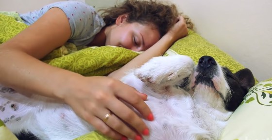 why dogs choose to sleep at your feet