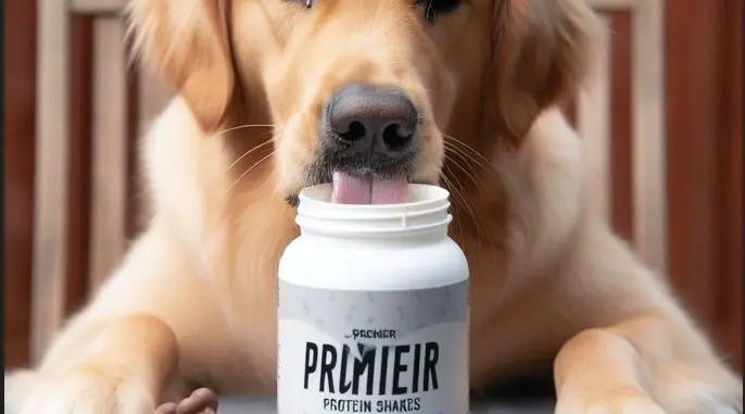 Do Premier Protein Shakes Have Xylitol