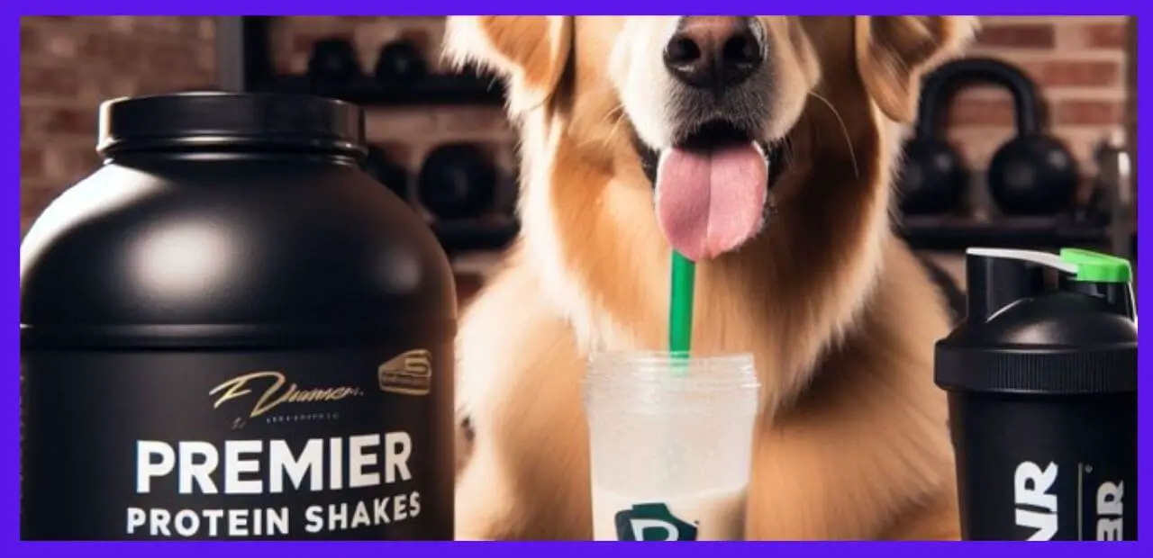 Can Dogs Drink Premier Protein Shakes