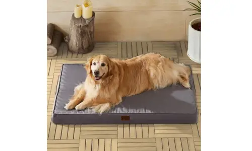 BFPETHOME Outdoor Dog Beds