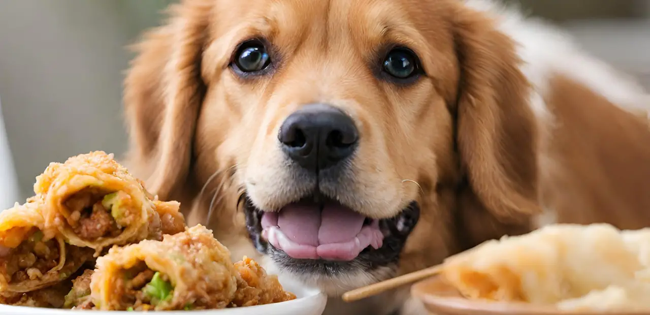 Can Dogs Safely Enjoy Egg Rolls photo
