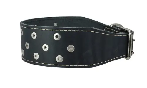 Dogs My Love 3 Extra Wide Heavy Duty Genuine Leather Studded Black Leather Collar