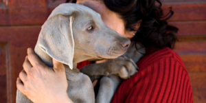 Dogs Smell Ears photo