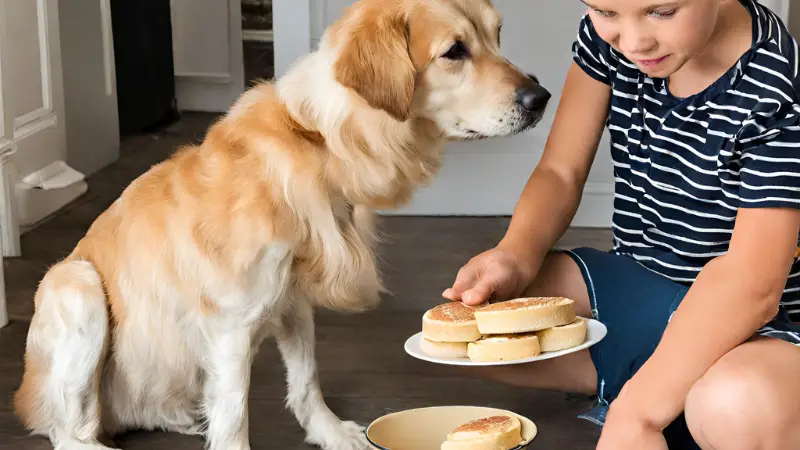 Feeding English Muffins to Dogs 2024