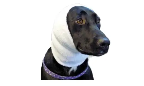Happy Hoodie The Original Calming Band for Dogs photo