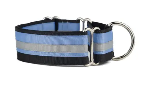 If It Barks - 1.5 Martingale Collar for Dogs photo
