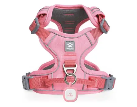 Pawaii Dog Harness for Small Dogs photo