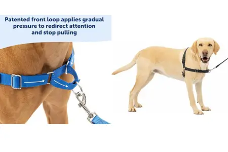 PetSafe Easy Walk No-Pull Dog Harness photo
