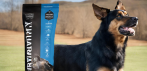 Protein Sources in Diamond Naturals Extreme Athlete Dog Food photo