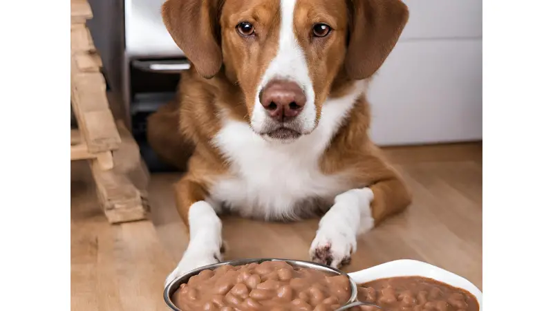 The dog eats Refried Beans 2024