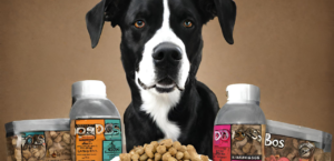 boss dog food reviews photo