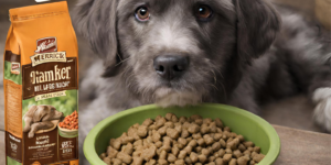 is merrick dog food good photo