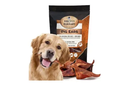 100% Natural Whole Pig Ear Dog Treat photo 