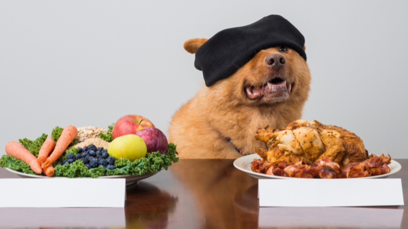 This image shows a dog sitting at a table with a plate of food in front of it. The dog is wearing a black hat and is looking at the camera with a happy expression. The plate in front of the dog contains a variety of food items, including vegetables, fruits, and meat. The background of the image is a plain white wall.