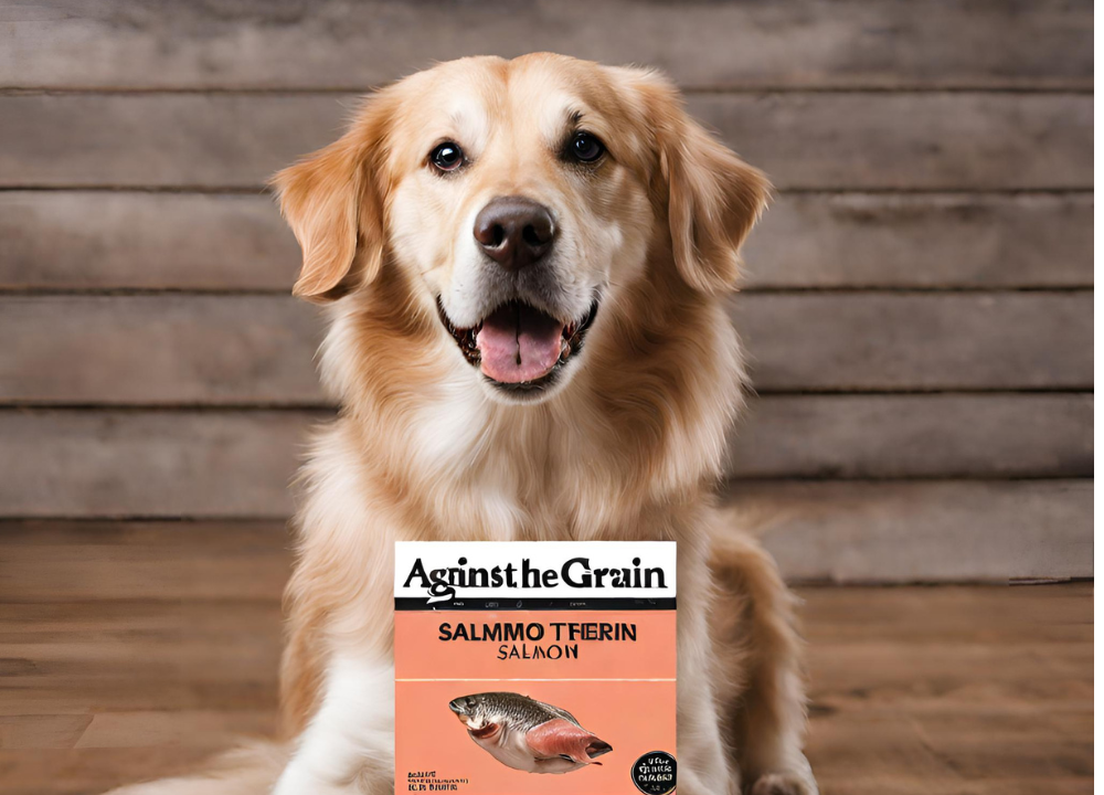 This image is of a dog sitting on a wooden floor with treat in Against the Grain Salmon Dog Food. The dog is wearing a collar and is looking directly at the camera with a happy expression on its face. The salmon treat is sitting on the floor next to the dog and has a label that reads "against the grain salmon treat" on it. The background of the image is blurry and appears to be a wooden floor.