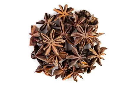 Anise Star Seed Organic Tea photo 