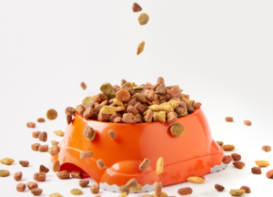 Annamaet Dog Food icon