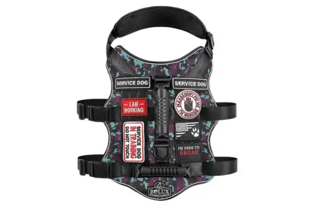 Bolux Tactical Dog Harness with 7 Pcs Tags photo