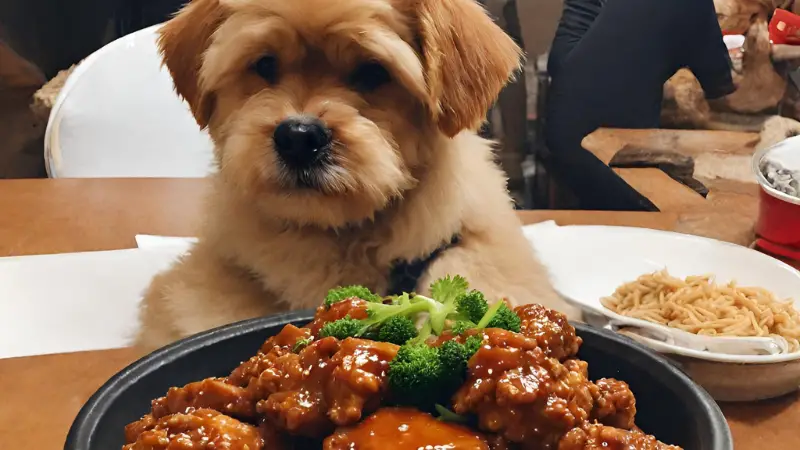 Can Dogs Have General Tso Chicken photo 2