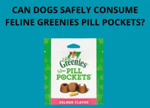 Can Dogs Safely Consume Feline Greenies Pill Pockets photo