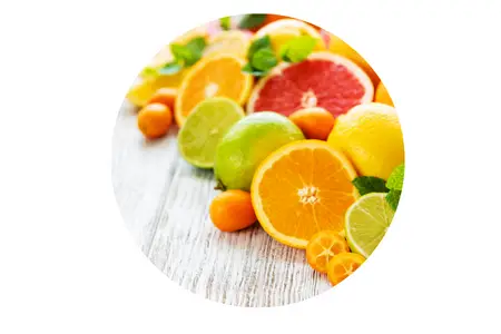 Dog allergies to Citrus Fruits