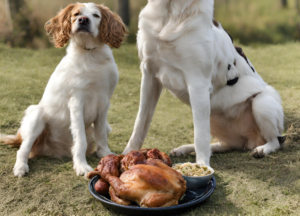 Dogs Safely Enjoy Cornish Hens photo