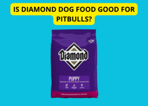 Is Diamond Dog Food Good for Pitbulls photo