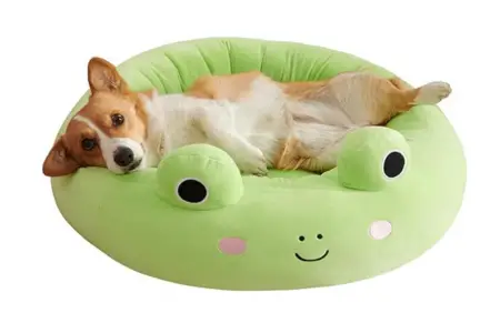 Squishmallows 20-Inch Wendy Frog Pet Bed photo
