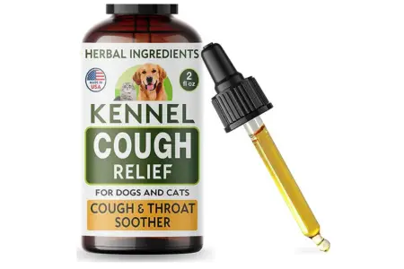 TwoFurFinds Kennel Cough Herbal Drops for Dogs  photo