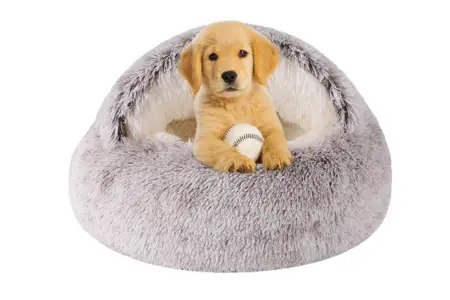 WgoogW Dog Beds for Small Dogs photo