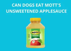 can dogs eat mott's unsweetened applesauce photo