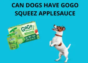 can dogs have gogo squeez applesauce photo