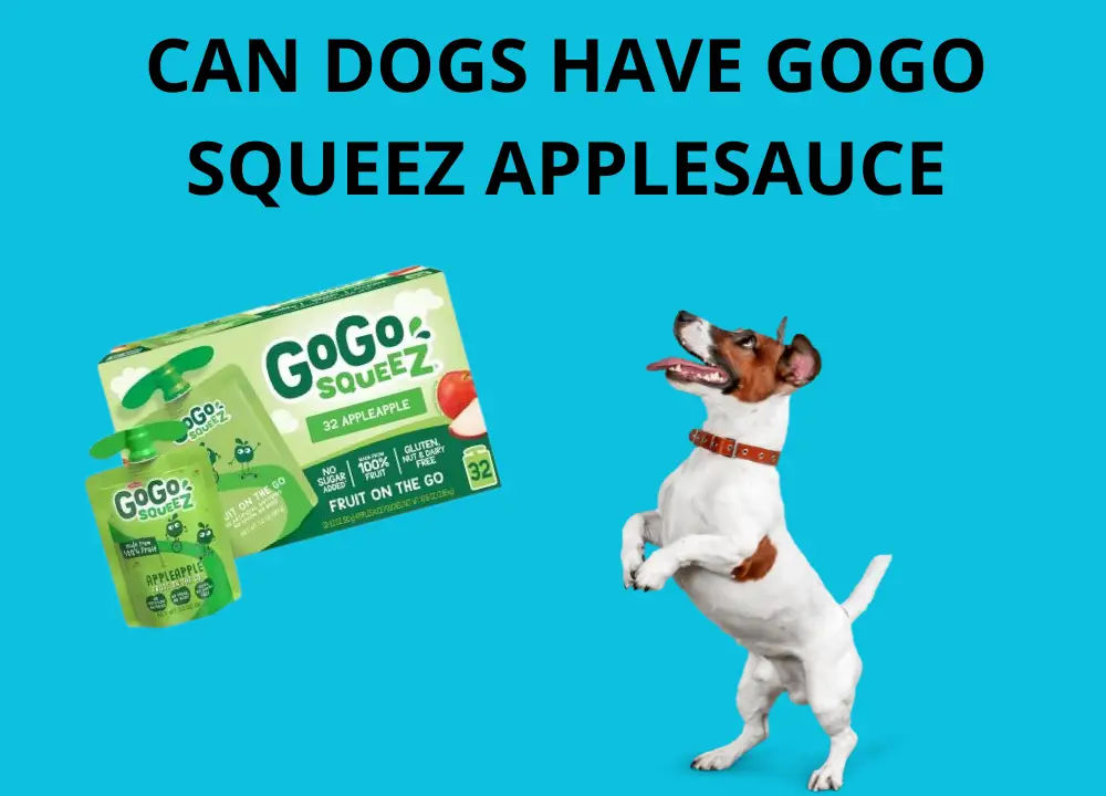 can dogs have gogo squeez applesauce photo