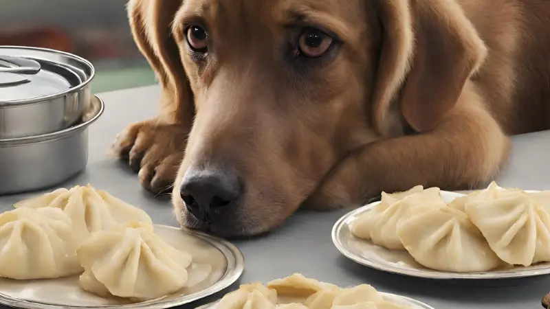 can dogs have pierogies photo 3