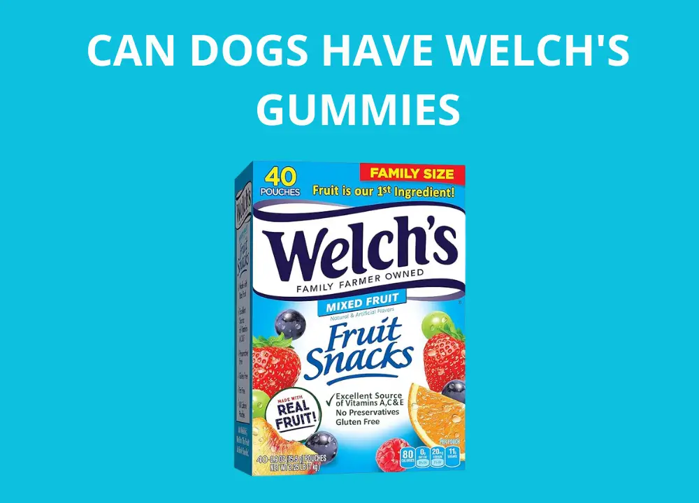 can dogs have welch's gummies photo